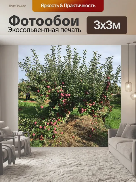Фотообои Ферма