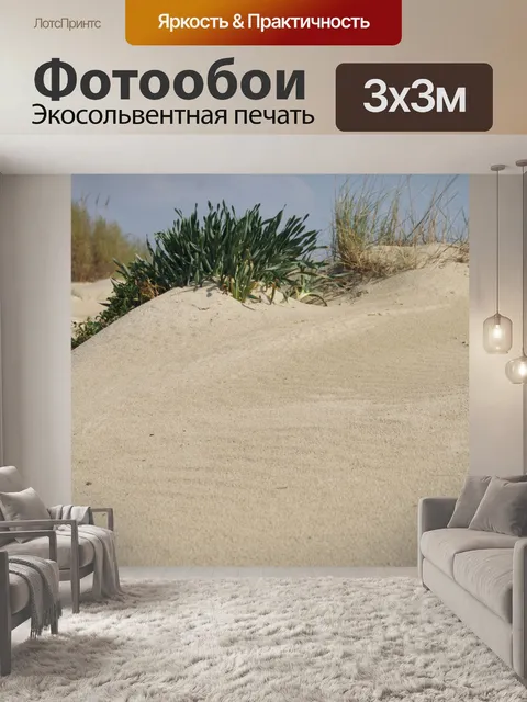 Фотообои Песчаные дюны с растениями на пляже