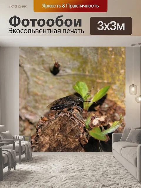 Фотообои Ошибка