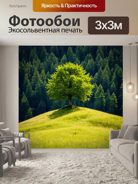Фотообои лес с одиноким деревом, стоящим на холме
