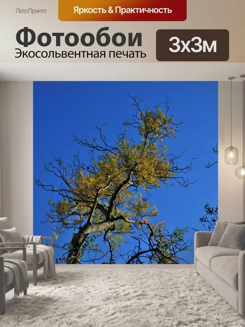 Фотообои стильные ветки и зеленые листья