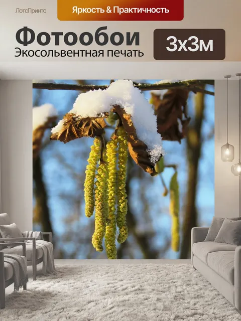 Фотообои Фундук