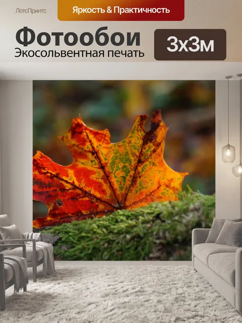 Фотообои Осень листва листва кленовый лист