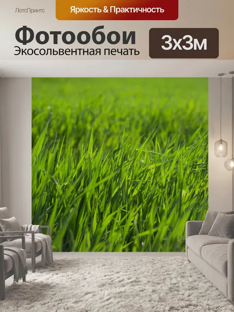 Фотообои Зеленая трава
