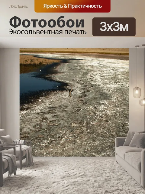 Фотообои следы в минеральной грязи