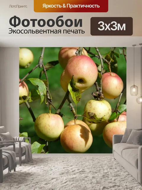 Фотообои Яблоня