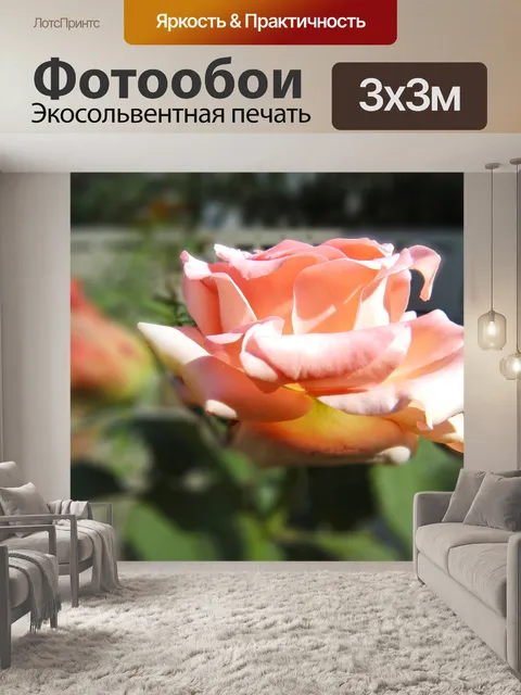 Фотообои Природа