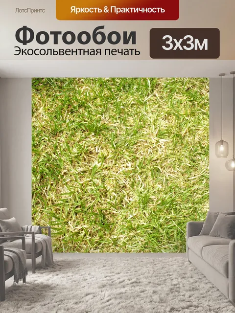 Фотообои Зеленая трава