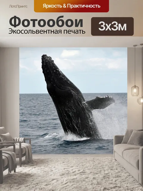 Фотообои Горбатый кит