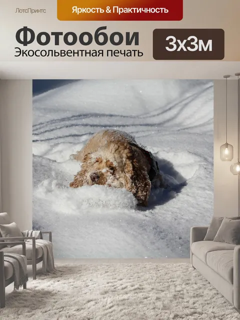 Фотообои Собака в снегу
