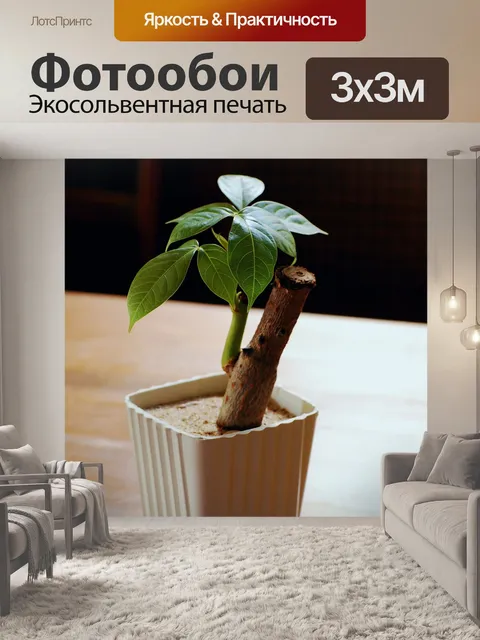 Фотообои Денежное дерево