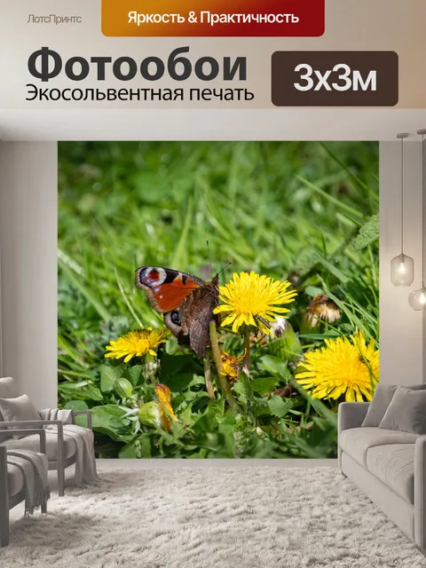 Фотообои Бабочка, Павлиний глаз, Аглаис ио