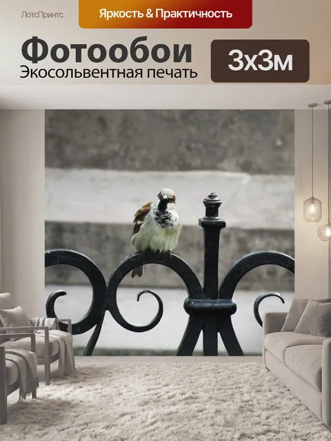 Фотообои Птица