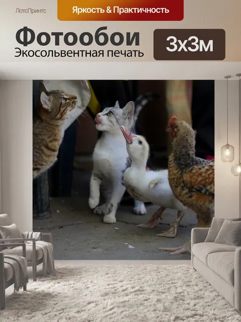Фотообои Кот