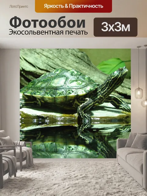 Фотообои Черепаха