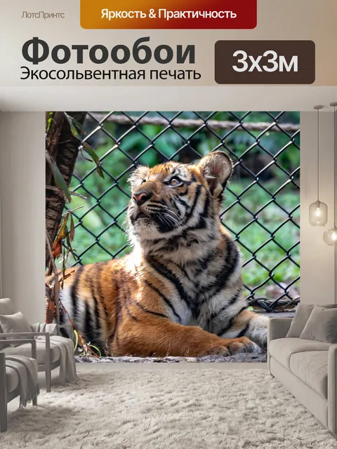 Фотообои Малайский тигренок