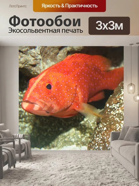 Фотообои Миниатус морской окунь