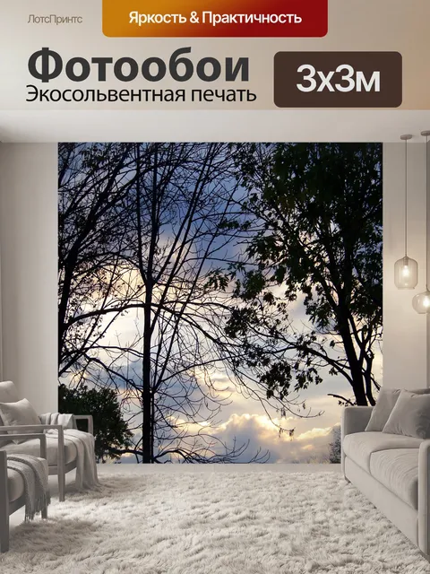 Фотообои Утреннее небо с деревьями 3