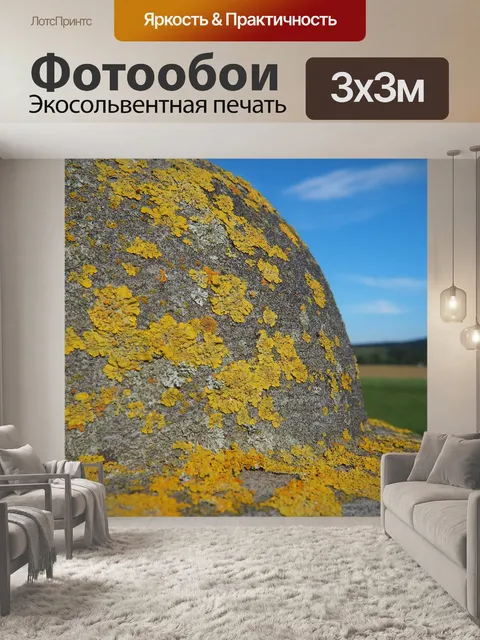 Фотообои Камень