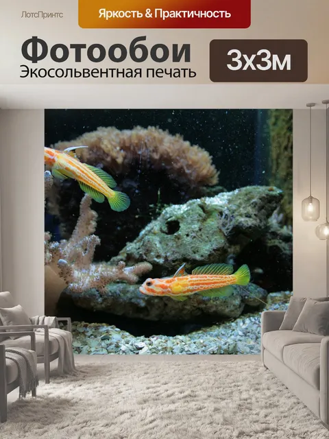 Фотообои Морской рыбы