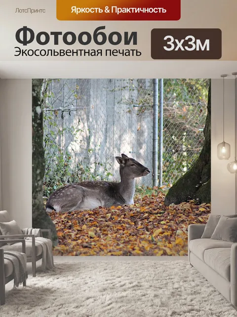 Фотообои Олень