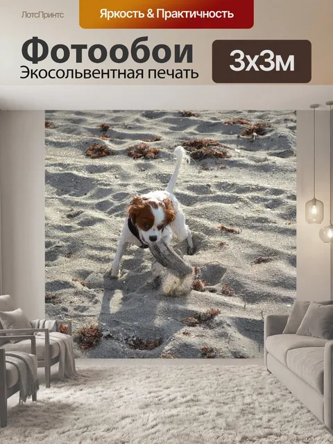Фотообои Король чарльз