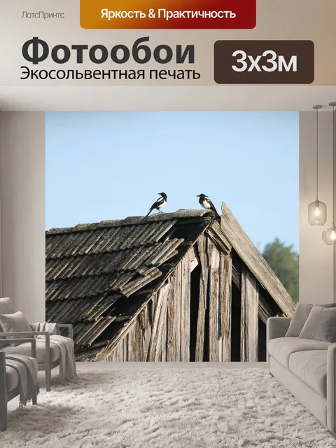 Фотообои Птицы