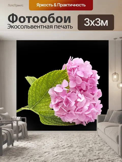 Фотообои Гортензия Розовый Розовый