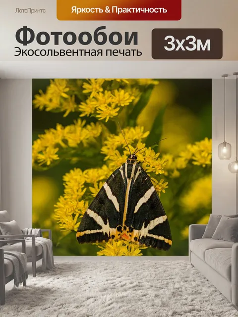 Фотообои Русский медведь