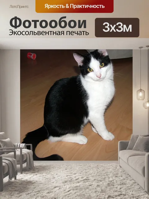 Фотообои Я не красивая