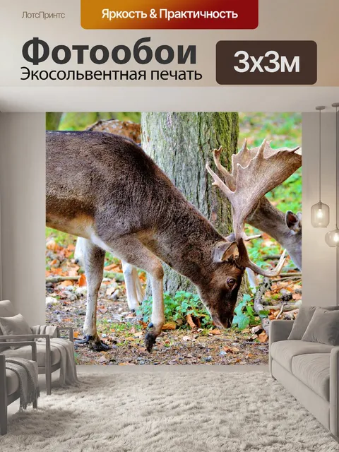 Фотообои Олень