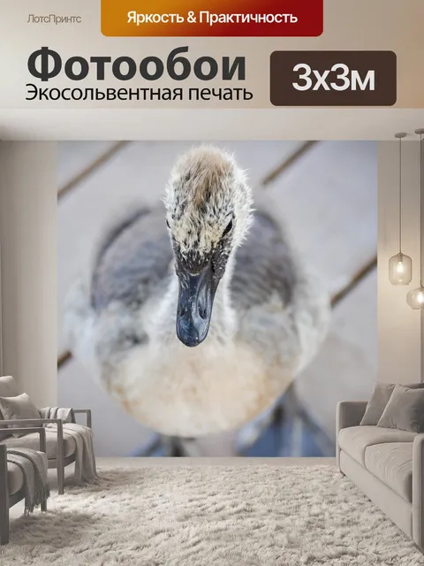 Фотообои Птица