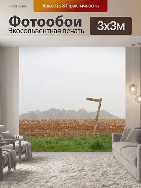 Фотообои Туманное утро Путь указатель