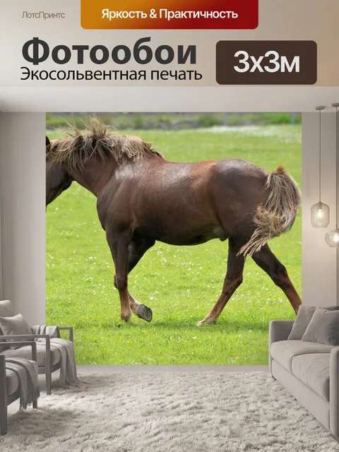 Фотообои Лошади и ферма пони