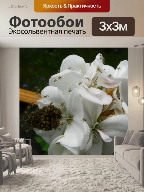Фотообои Младший Пауки