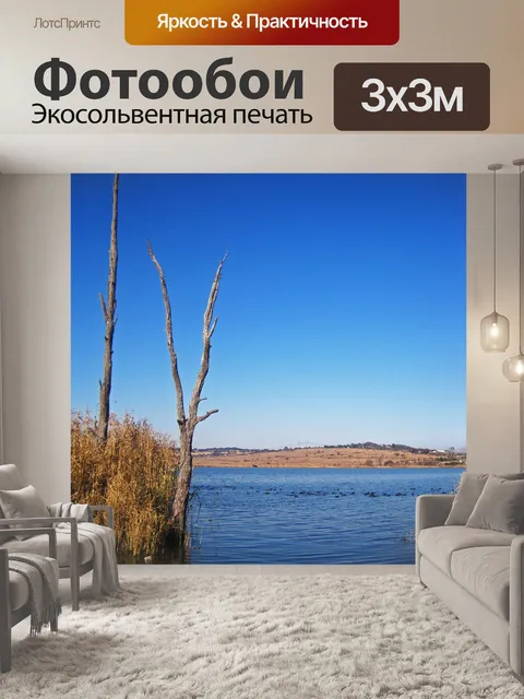 Фотообои Вид стая водоплавающих птиц