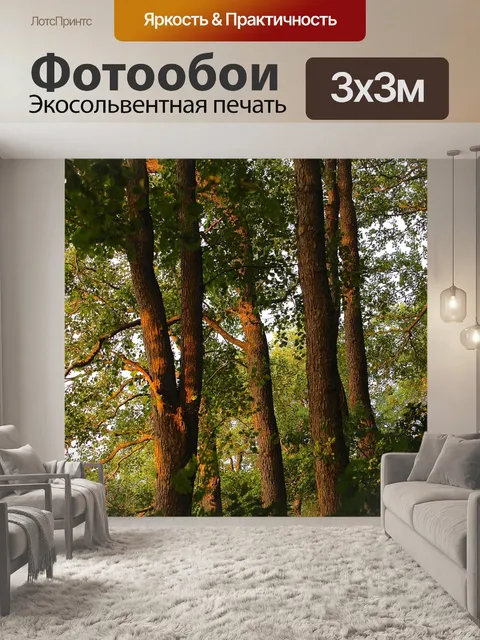 Фотообои Лес