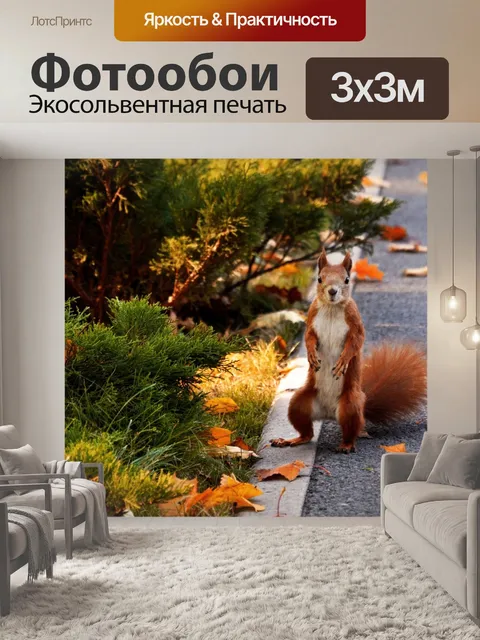 Фотообои Белка