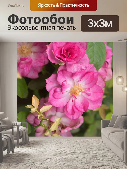 Фотообои Роза
