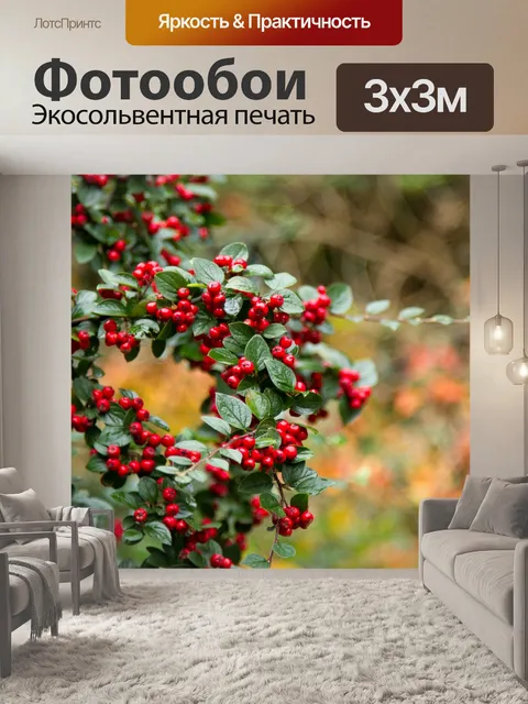 Фотообои Осенний вид