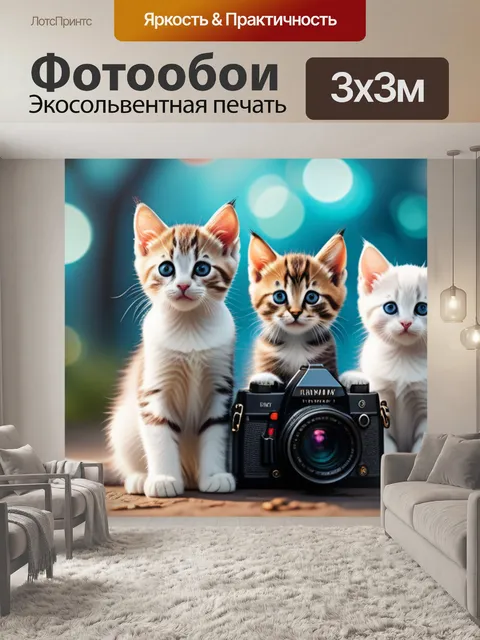 Фотообои с котятами смешной