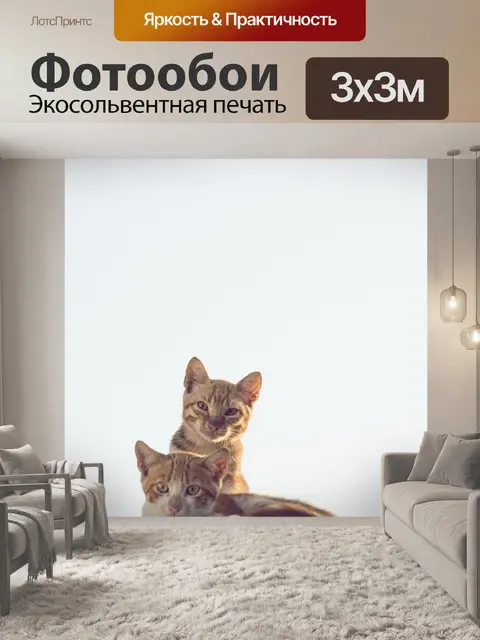 Фотообои Кошки