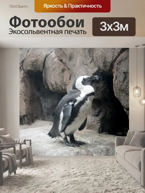 Фотообои Penguin - 01