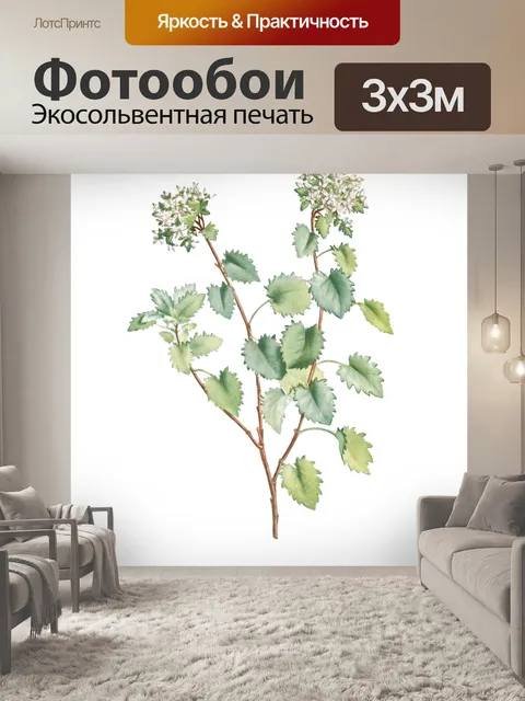 Фотообои Винтажная иллюстрация растений