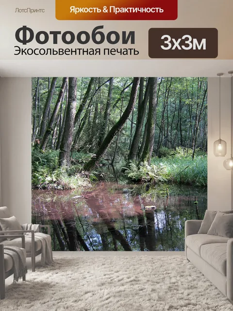Фотообои Мюриц
