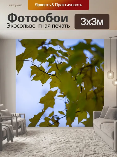 Фотообои Осенние листья