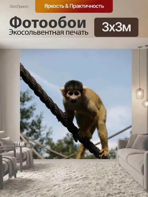 Фотообои Обезьяна на ветке