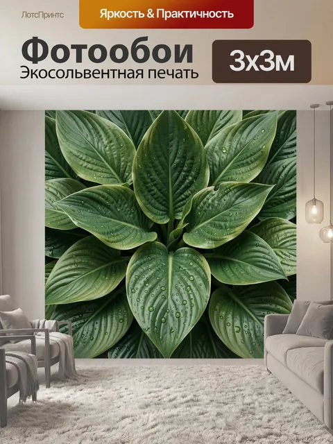 Фотообои Крупные зеленые листья с каплями