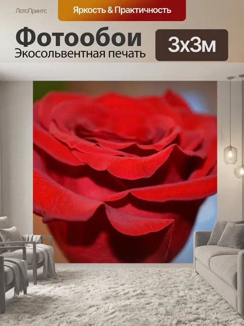 Фотообои Роза