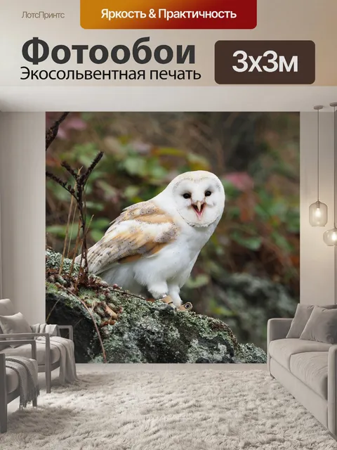 Фотообои Птица